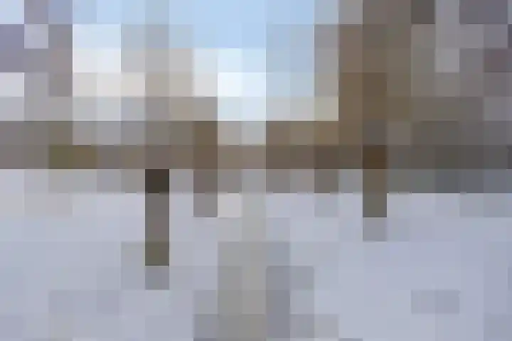 Drususlaan 49 De Meern thumbnail 38