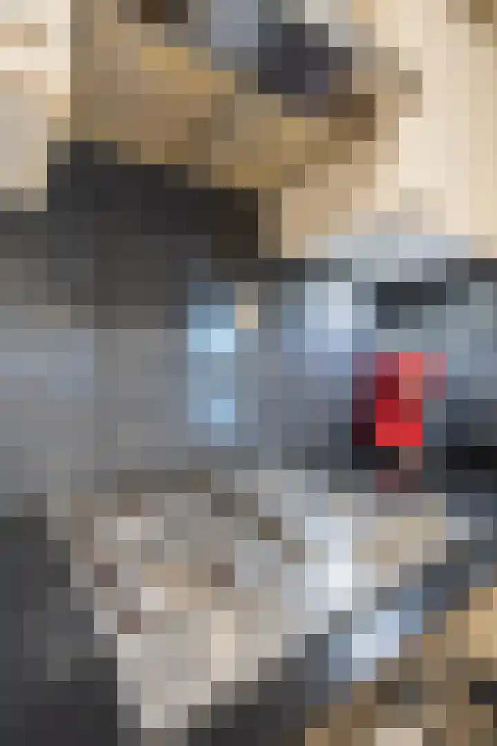 Ds. Allendorpstraat 6 Ridderkerk thumbnail 8