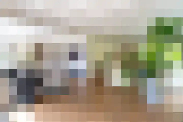 Ds. Talmalaan 4 Andel thumbnail 10