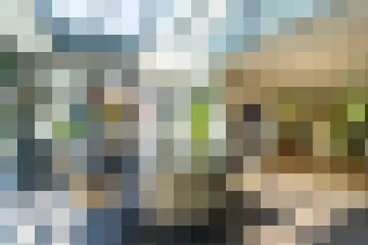 Ds. Talmalaan 4 Andel thumbnail 13
