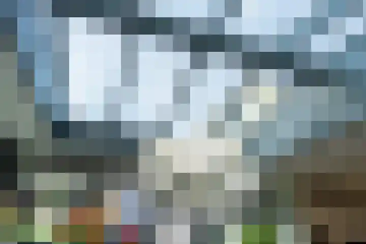 Ds. Talmalaan 4 Andel thumbnail 14