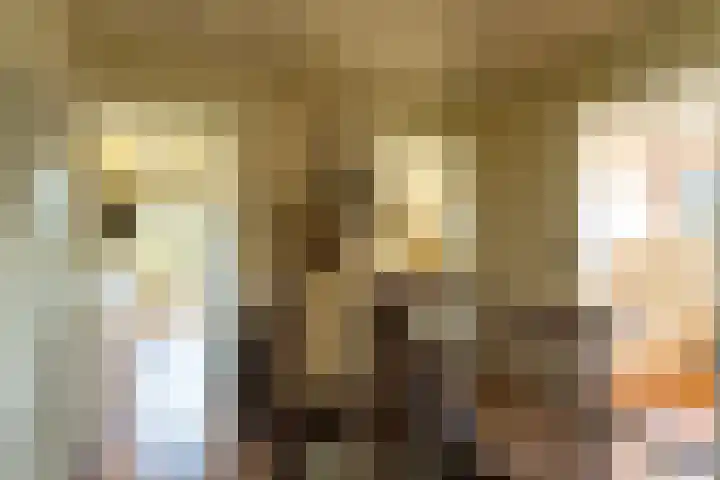 Ds. Talmalaan 4 Andel thumbnail 25