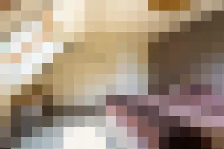 Ds. Talmalaan 4 Andel thumbnail 27