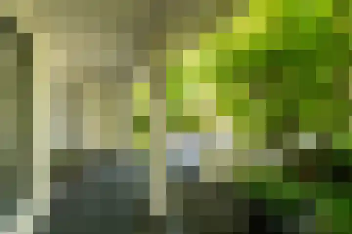 Ds. Talmalaan 4 Andel thumbnail 4