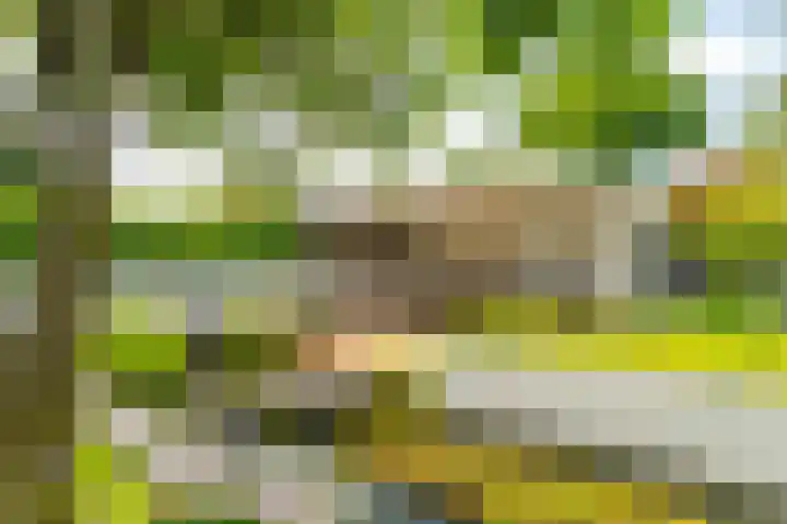 Ds. Talmalaan 4 Andel thumbnail 43
