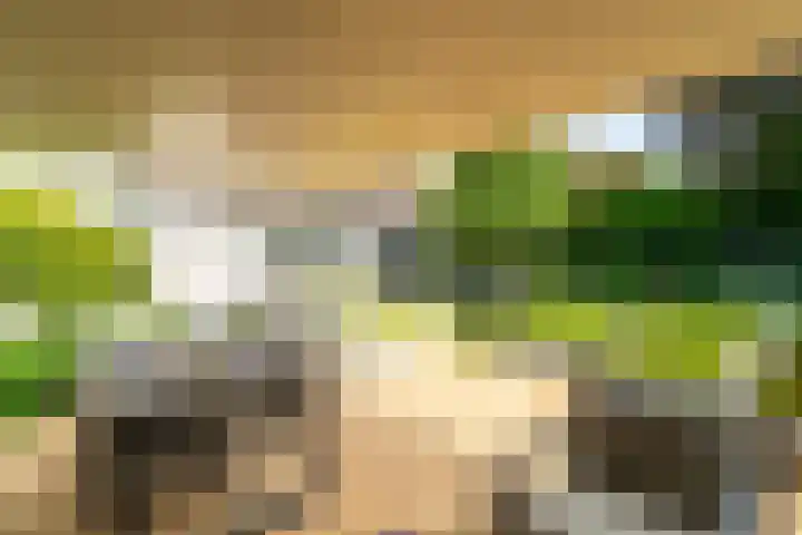 Ds. Talmalaan 4 Andel thumbnail 46