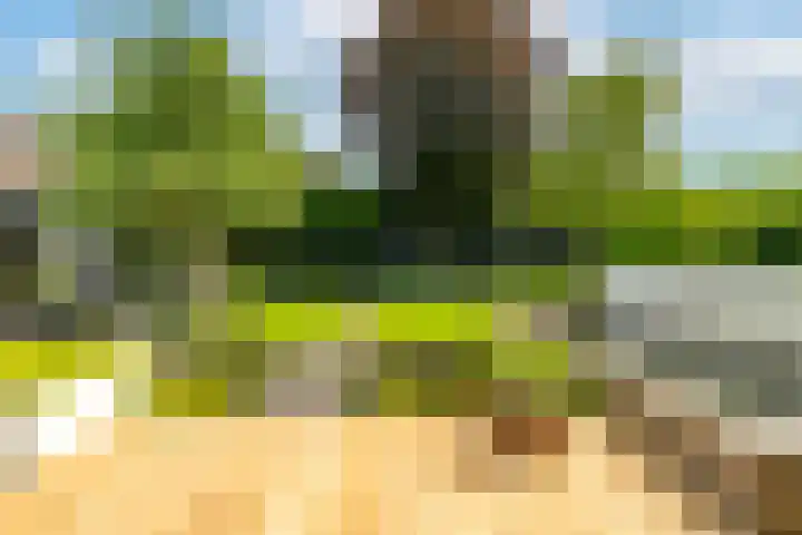 Ds. Talmalaan 4 Andel thumbnail 47