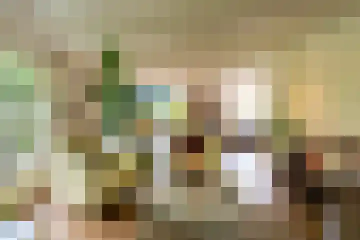 Ds. Talmalaan 4 Andel thumbnail 9
