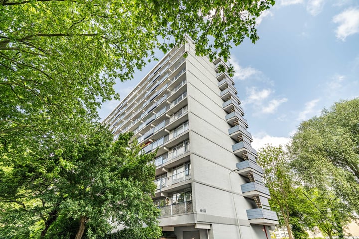 Ds van den Boschlaan 109 in Rijswijk foto