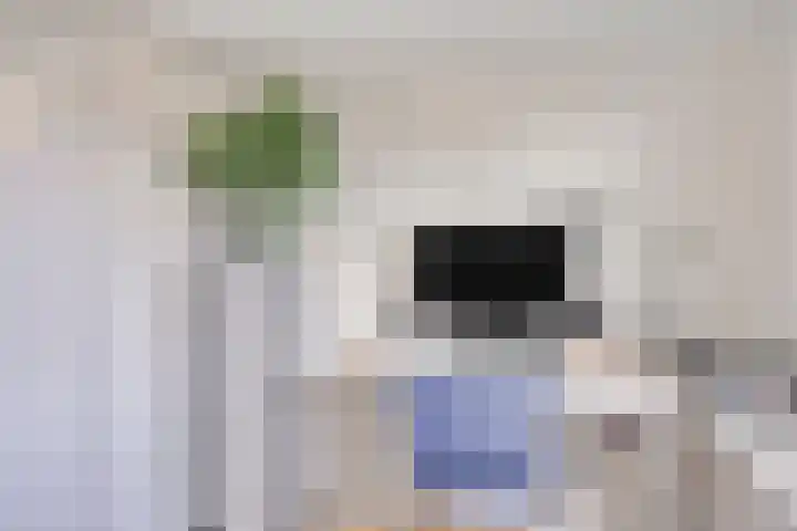 Ds van Haaftenlaan 17 Odijk thumbnail 26