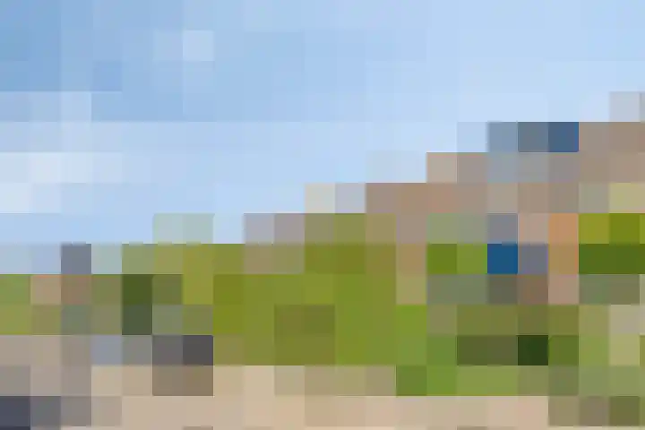 Ds van Haaftenlaan 17 Odijk thumbnail 31