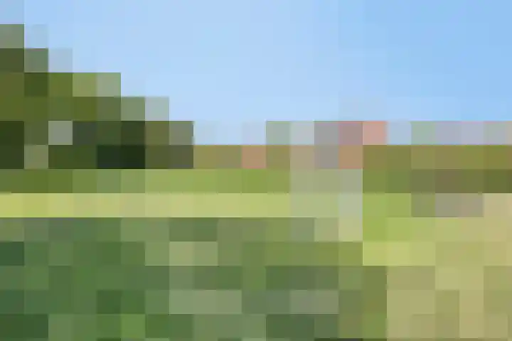 Ds van Haaftenlaan 17 Odijk thumbnail 32