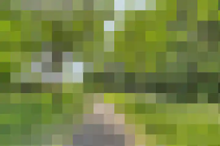 Ds van Haaftenlaan 17 Odijk thumbnail 33
