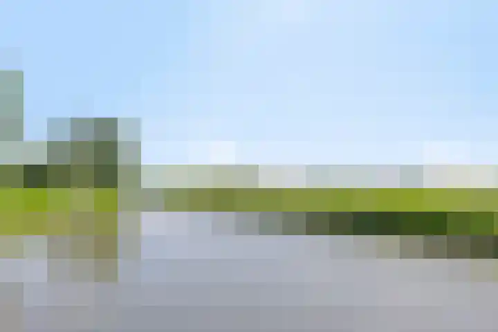 Ds van Haaftenlaan 17 Odijk thumbnail 34