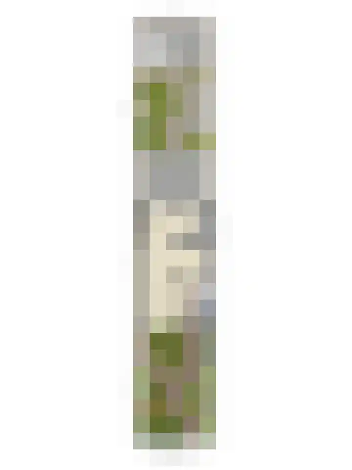 Ds van Haaftenlaan 17 Odijk thumbnail 39