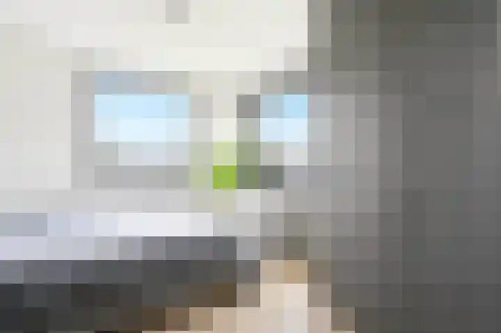 Du Perronlaan 62 Uithoorn thumbnail 13