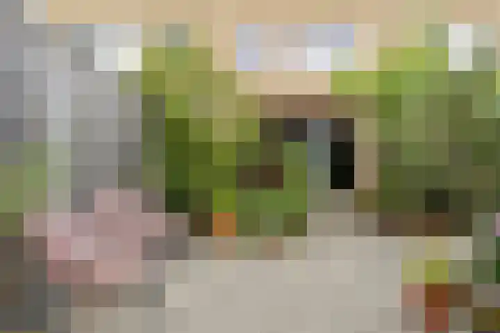 Dubbe Loop 17 Nuenen thumbnail 32