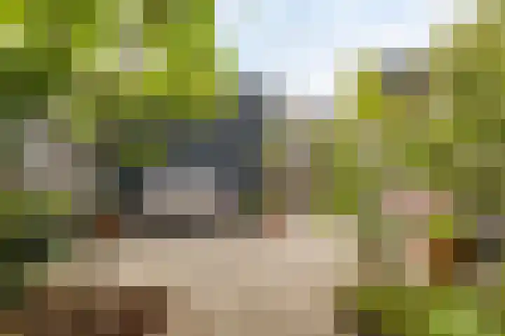 Dubbe Loop 17 Nuenen thumbnail 34