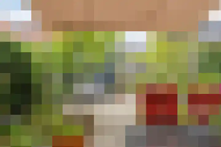 Dubbe Loop 17 Nuenen thumbnail 35