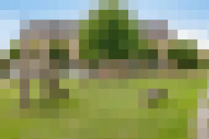 Dubbe Loop 17 Nuenen thumbnail 5
