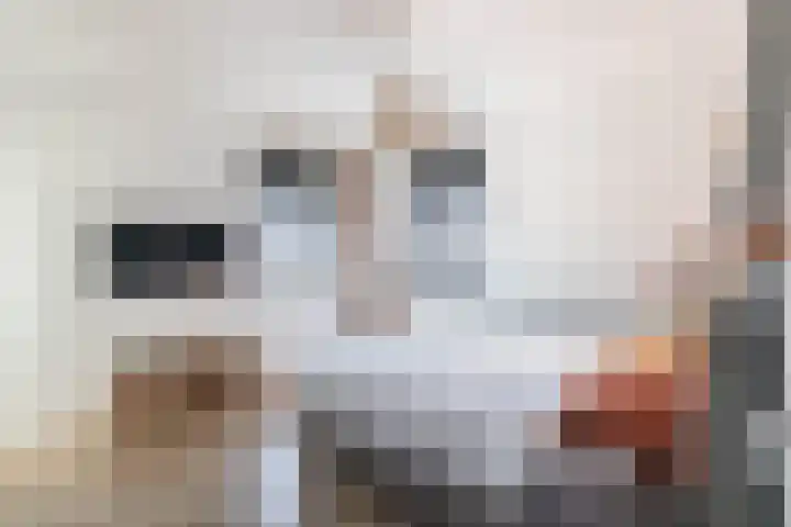 Dubbe Loop 4 Nuenen thumbnail 27