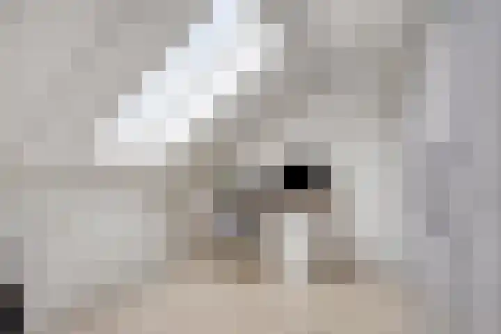 Dubbe Loop 8 Nuenen thumbnail 42