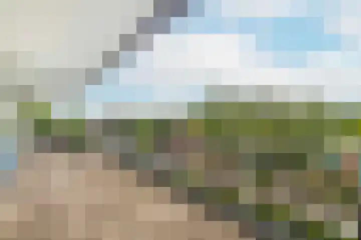 Dubbelhof 77 Ede thumbnail 4
