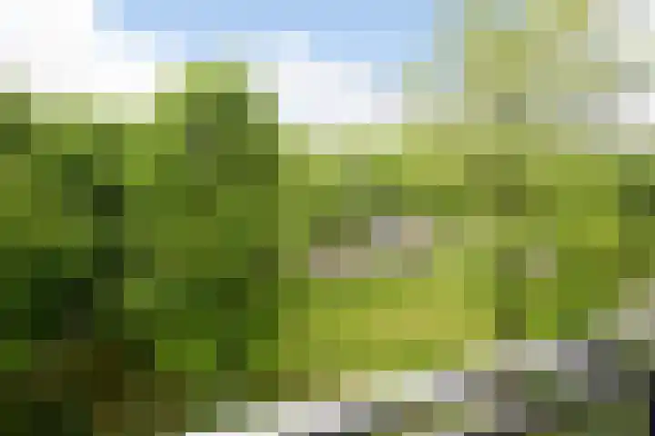 Dubbelhof 83 Ede thumbnail 21