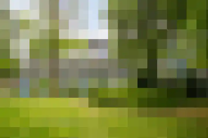 Dubbelhof 83 Ede thumbnail 22