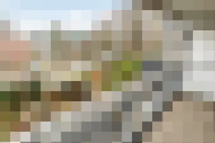 Dubbelhof 96 Ede thumbnail 21