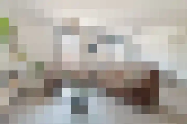 Dubbelspoor 65 Waddinxveen thumbnail 13