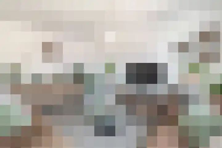 Dubbelspoor 65 Waddinxveen thumbnail 15