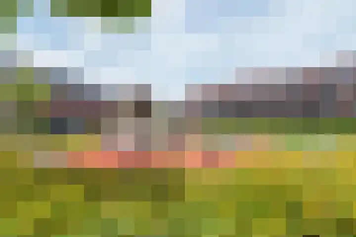 Dubbelspoor 65 Waddinxveen thumbnail 35