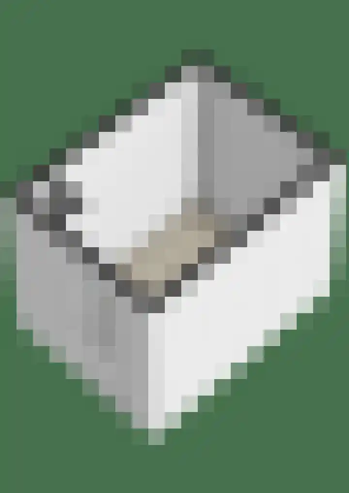 Dubbelspoor 65 Waddinxveen thumbnail 42