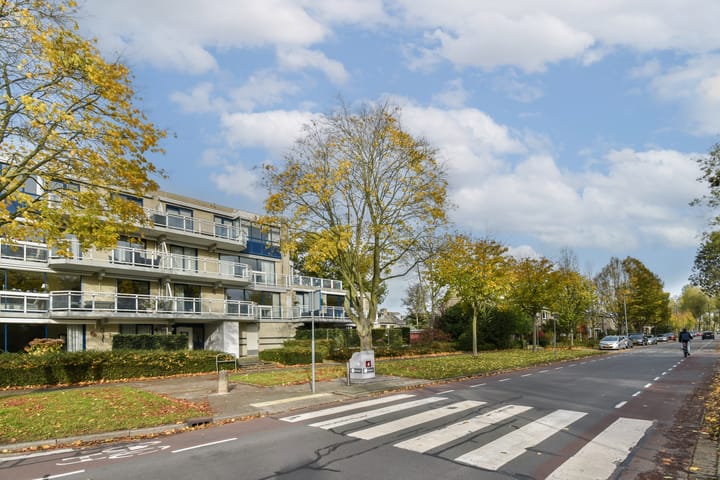 Dubbelsteynlaan Oost 218 in Dordrecht foto