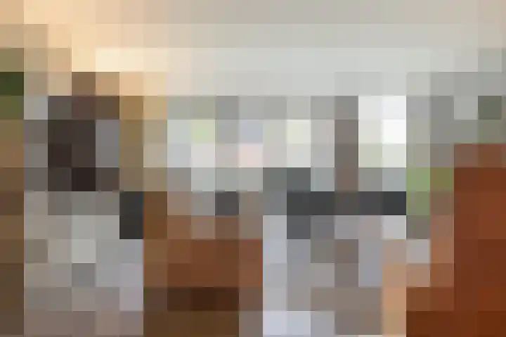 Dubčeksingel 40 Ede thumbnail 10
