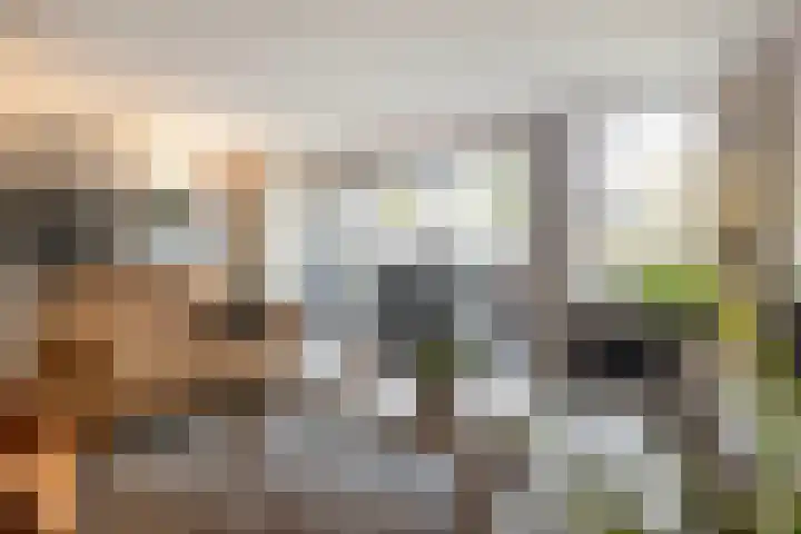 Dubčeksingel 40 Ede thumbnail 11
