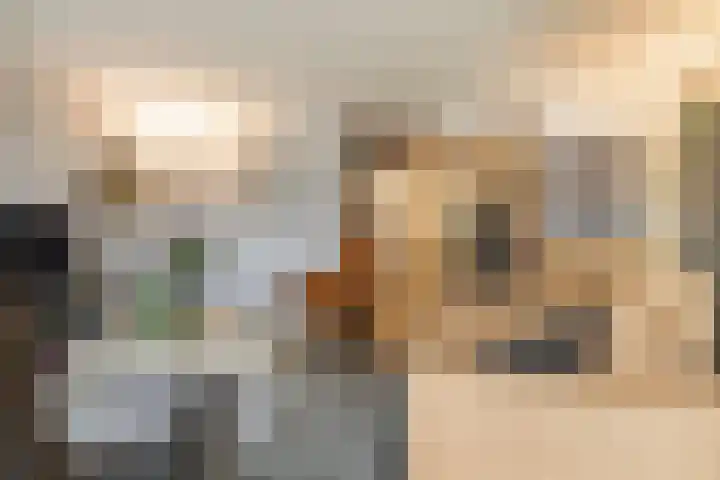Dubčeksingel 40 Ede thumbnail 13