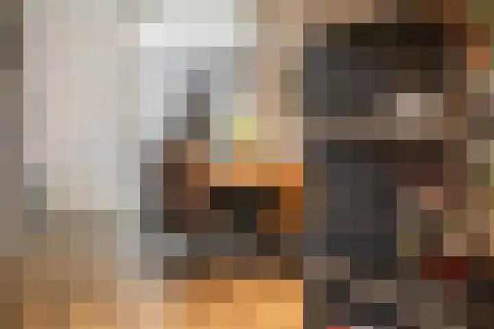 Dubčeksingel 40 Ede thumbnail 15