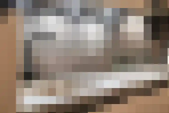 Dubčeksingel 40 Ede thumbnail 18