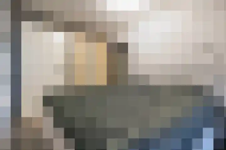 Dubčeksingel 40 Ede thumbnail 20