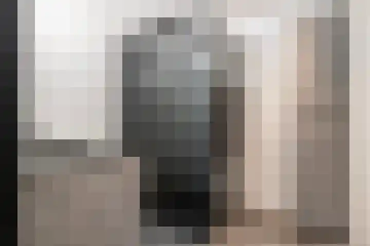 Dubčeksingel 40 Ede thumbnail 21