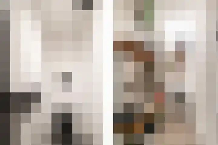 Dubčeksingel 40 Ede thumbnail 23