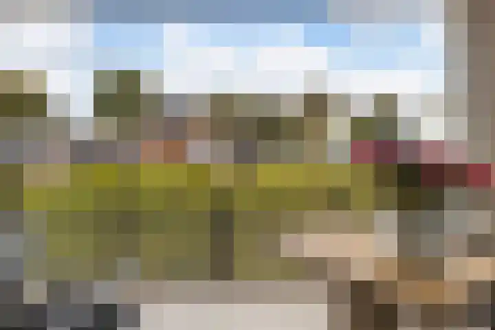 Dubčeksingel 40 Ede thumbnail 24
