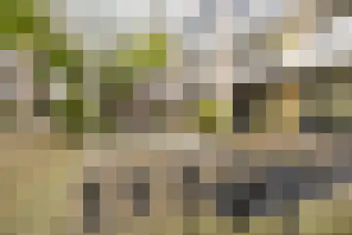 Dubčeksingel 40 Ede thumbnail 27