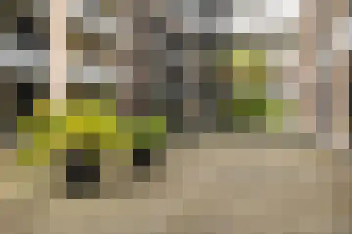 Dubčeksingel 40 Ede thumbnail 28