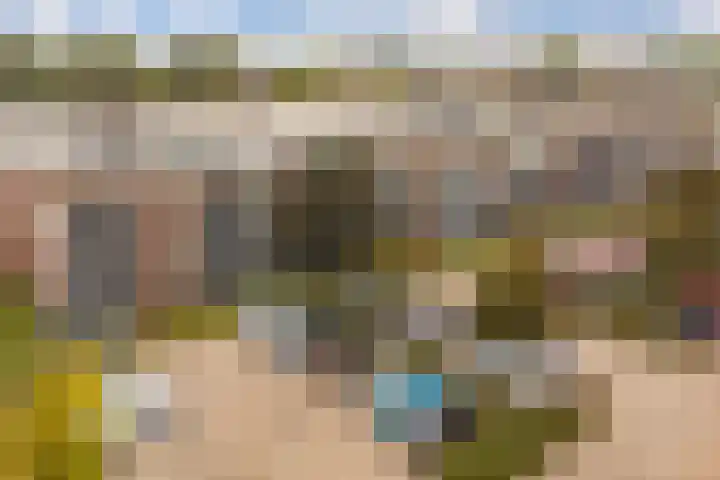 Dubčeksingel 40 Ede thumbnail 32