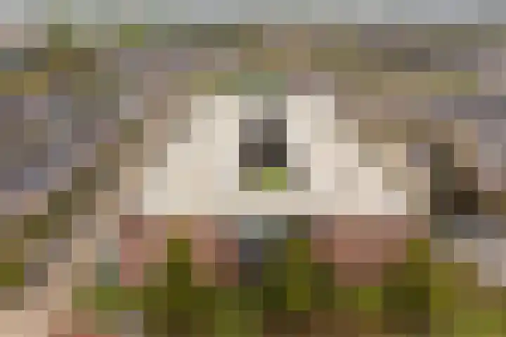 Dubčeksingel 40 Ede thumbnail 33