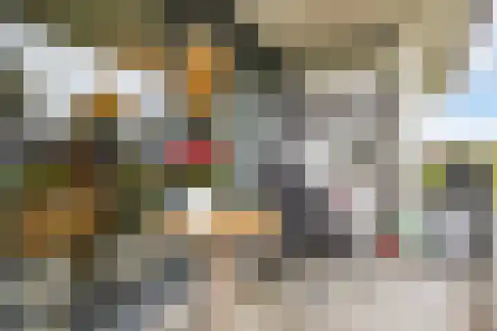 Dubčeksingel 40 Ede thumbnail 4