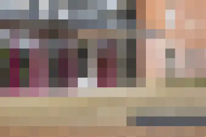 Dubčeksingel 40 Ede thumbnail 6